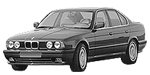 BMW E34 P1155 Fault Code